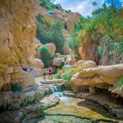Ein Gedi